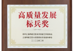 上海至尊国际荣获2022年度高质量发展标兵奖