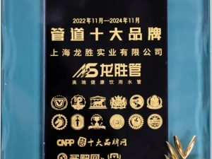 至尊国际管荣获2022-2024年度“管道十大品牌”称号