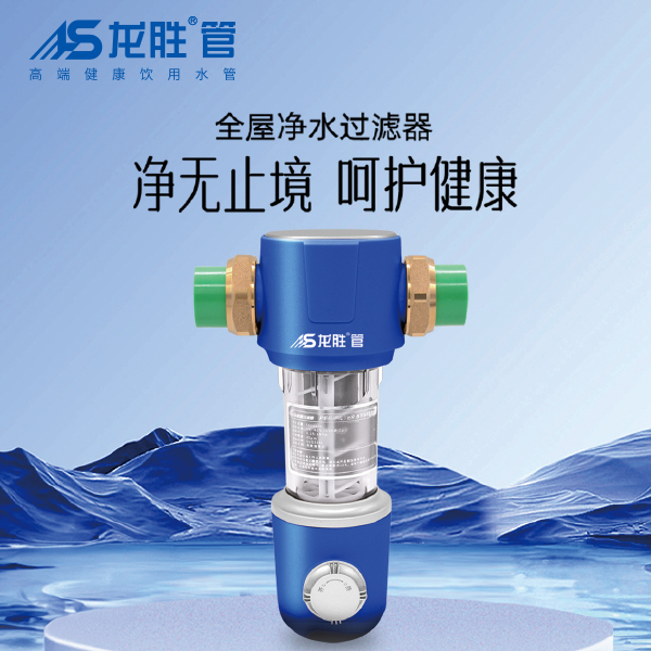 至尊国际前置过滤器LS-HGS-19